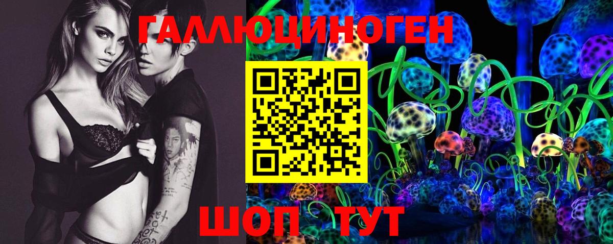 Галлюциногенные грибы Cubensis Аргун