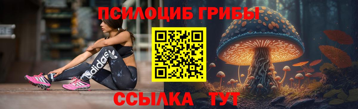 Галлюциногенные грибы MAGIC MUSHROOMS  Галлюциногенные грибы MAGIC MUSHROOMS  Вход с VPN  Аргун 