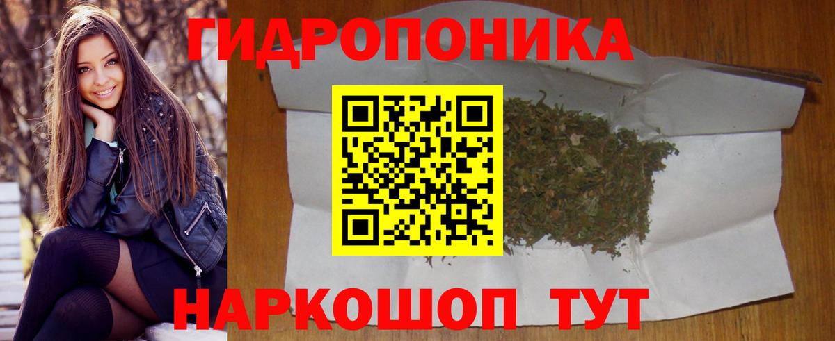 Бошки Шишки THC 21%  Бошки Шишки семена  Вход с VPN  Марихуана план  Канабис Bruce Banner  Аргун 